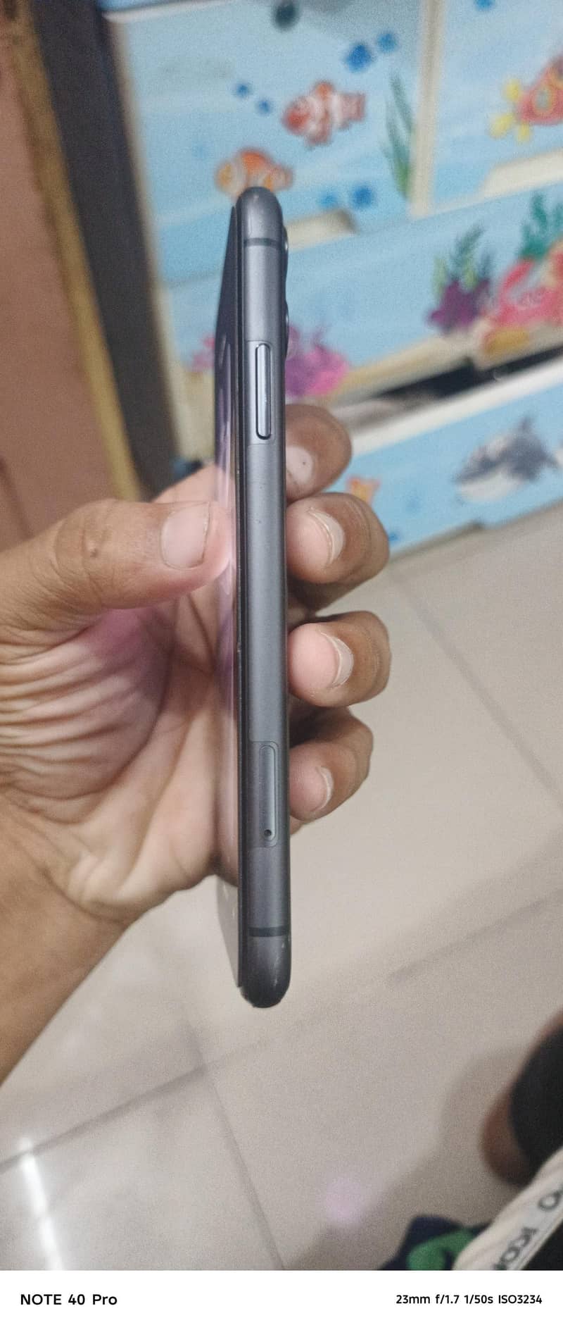Apple iPhone 11 2