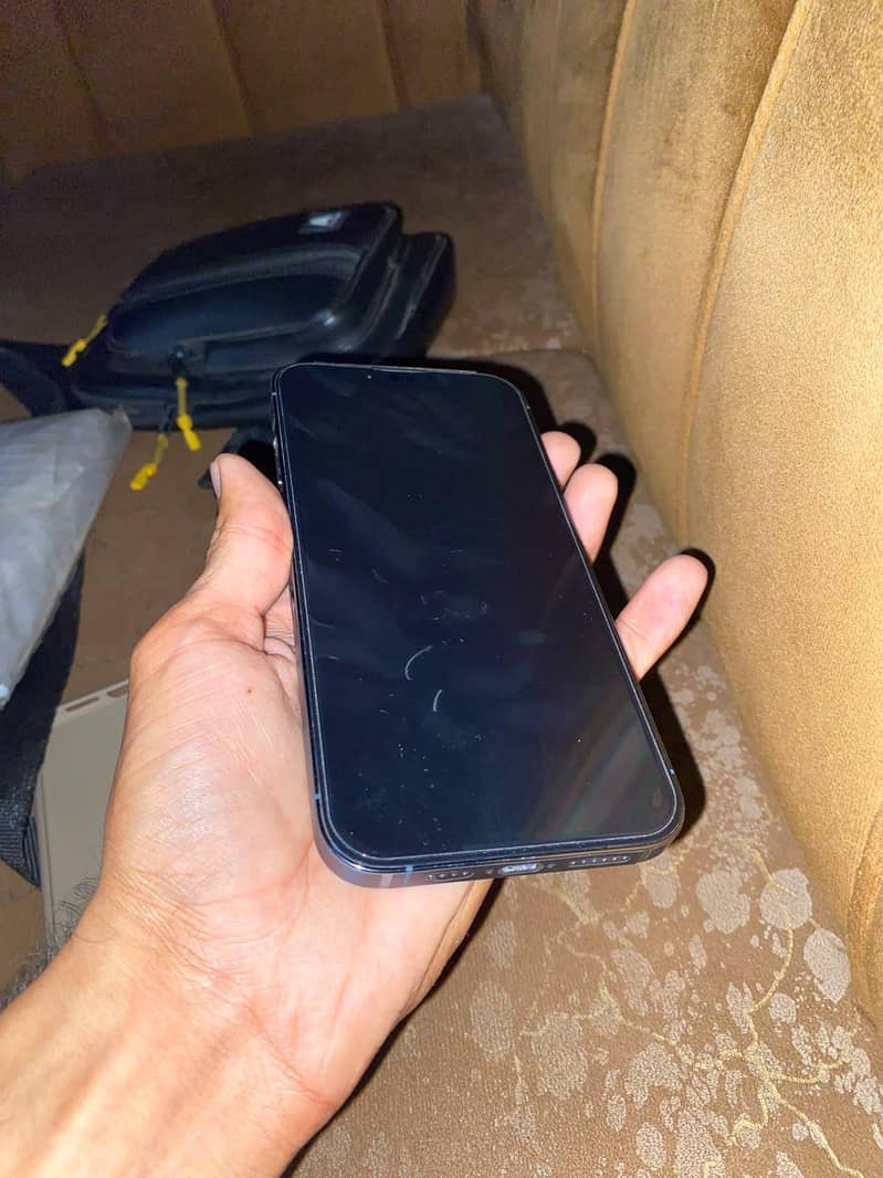 Apple iPhone 13 Pro Max 1