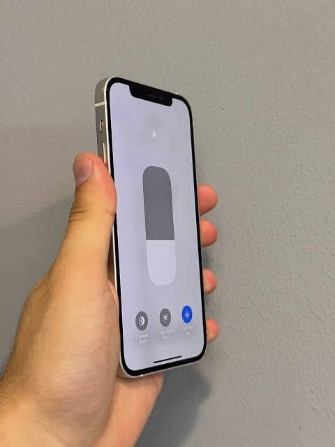Apple iPhone 12 Pro 1