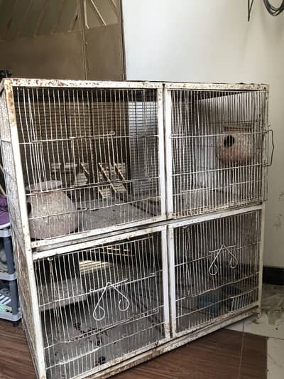  Premium Quality Bird Cage – Strong & Spacious