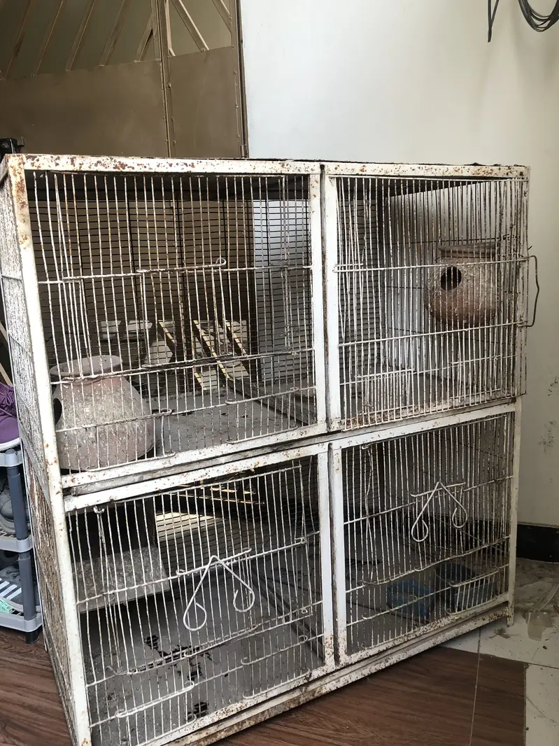 Premium Quality Bird Cage – Strong & Spacious