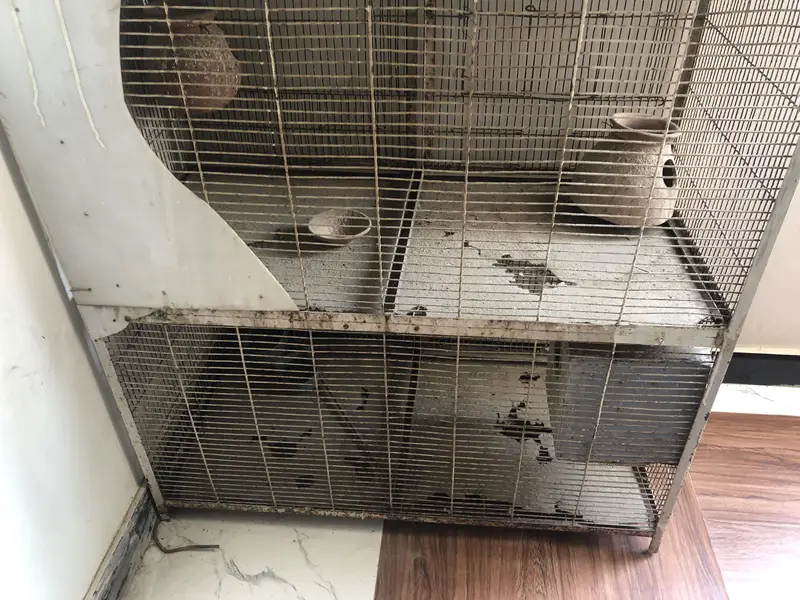  Premium Quality Bird Cage – Strong & Spacious — photo 2