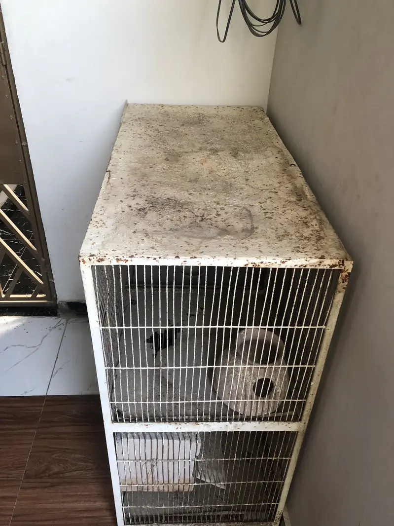  Premium Quality Bird Cage – Strong & Spacious — photo 3
