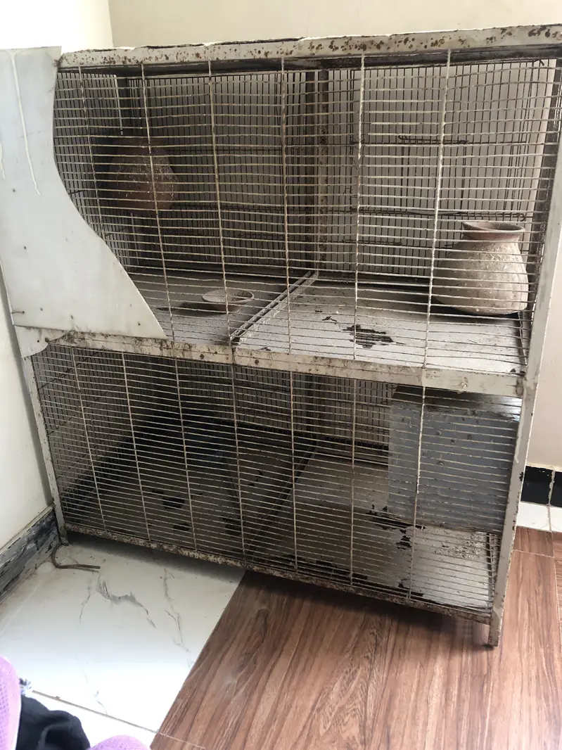  Premium Quality Bird Cage – Strong & Spacious — photo 4