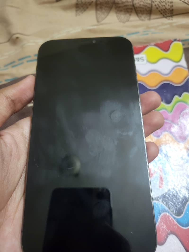 Apple iPhone 12 Pro Max 0