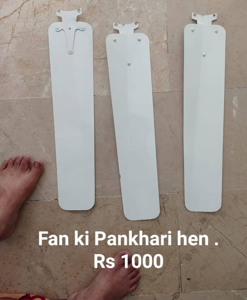 Fan good condition 6