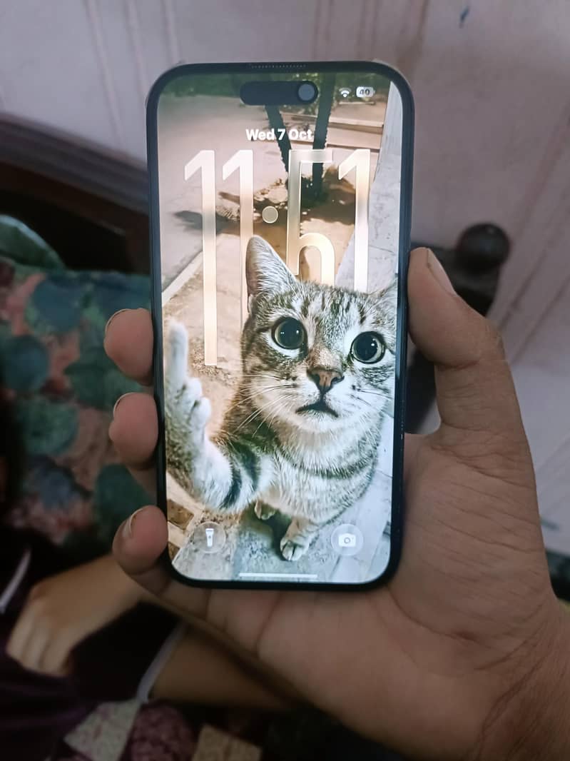 Apple iPhone 15 1