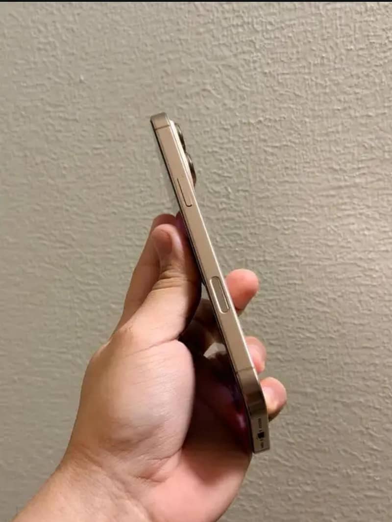 Apple iPhone 16 Pro Max 4