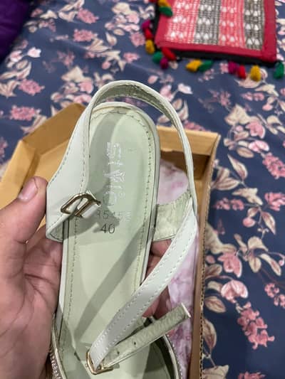 Stylo shoe