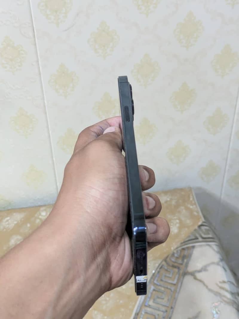 Apple iPhone 12 Pro Max 5