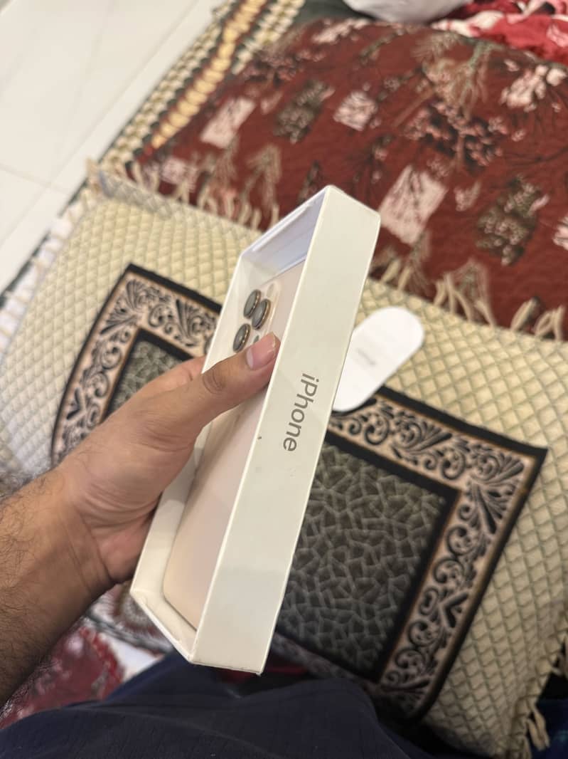 Apple iPhone 16 Pro Max 1