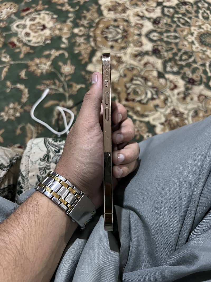 Apple iPhone 12 Pro Max 5