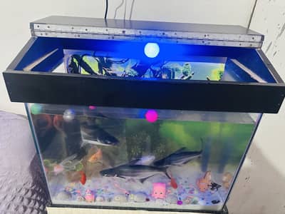 Aquarium 