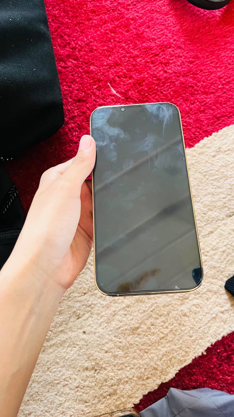Apple iPhone 13 Pro Max 0