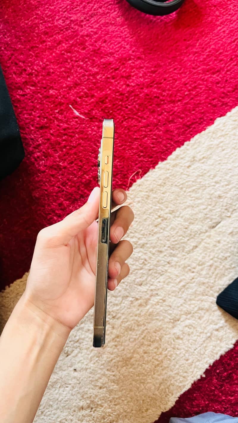 Apple iPhone 13 Pro Max 1