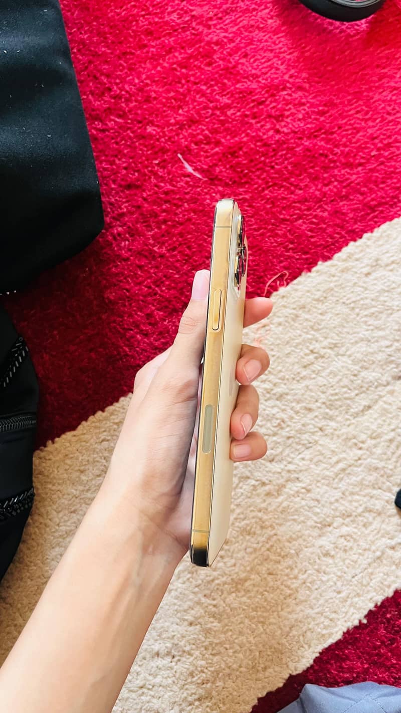 Apple iPhone 13 Pro Max 2