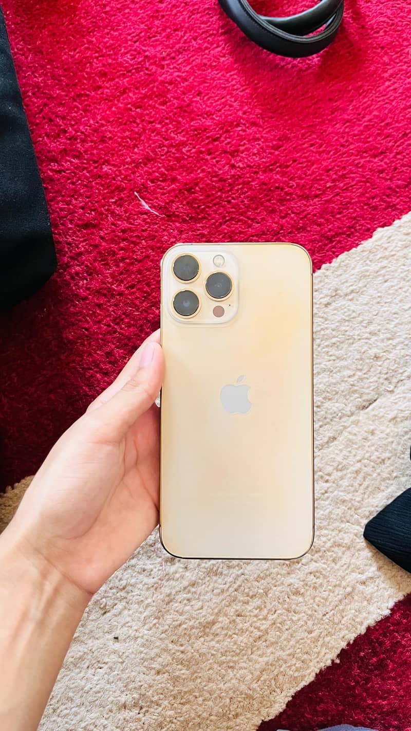 Apple iPhone 13 Pro Max 3