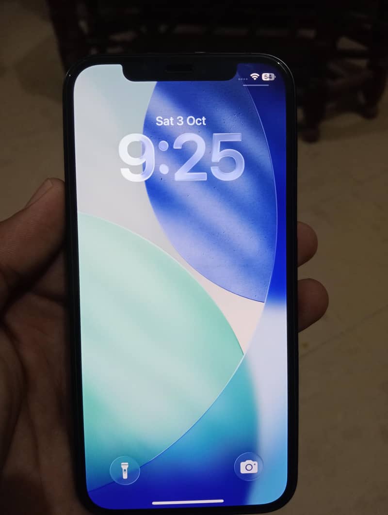 Apple iPhone 12 1