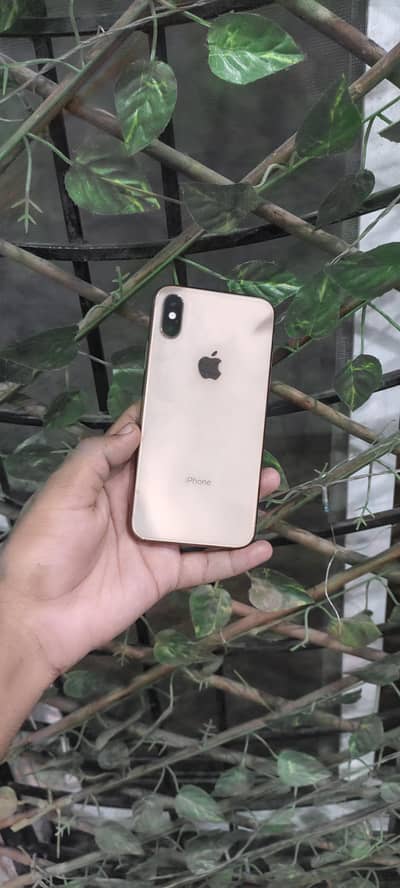 Apple iPhone XS