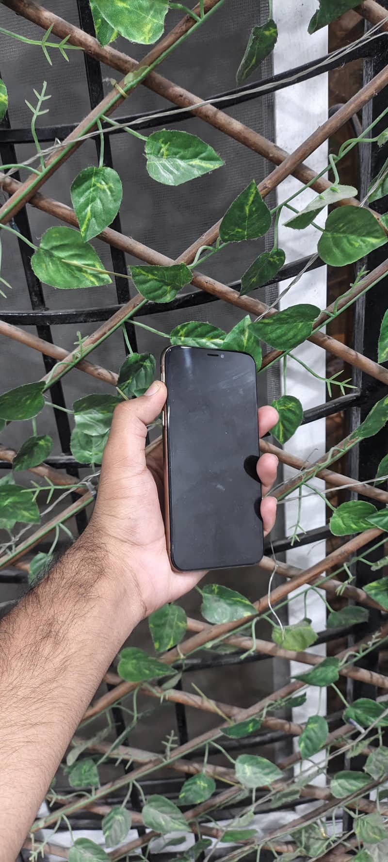 Apple iPhone XS 1