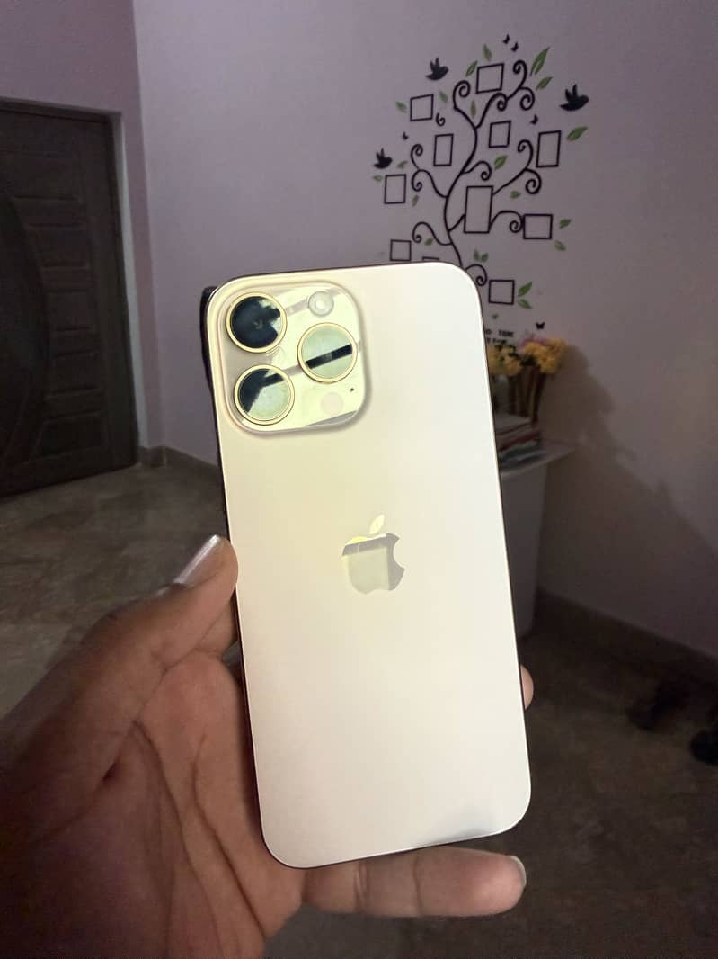 Apple iPhone 16 Pro Max 5