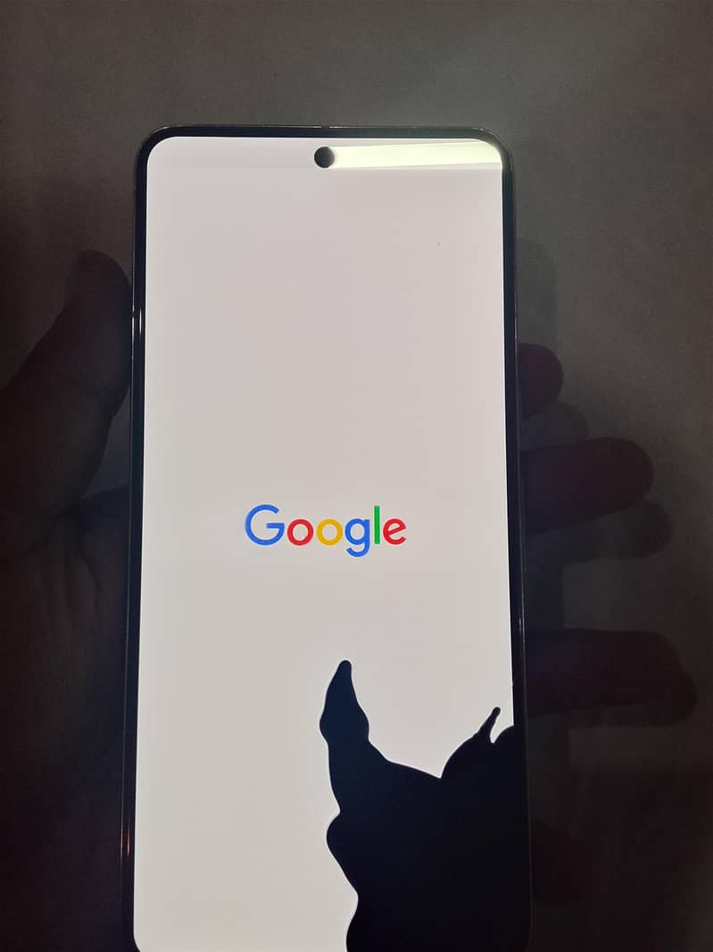 Google Pixel 8 Pro screen damaged 1