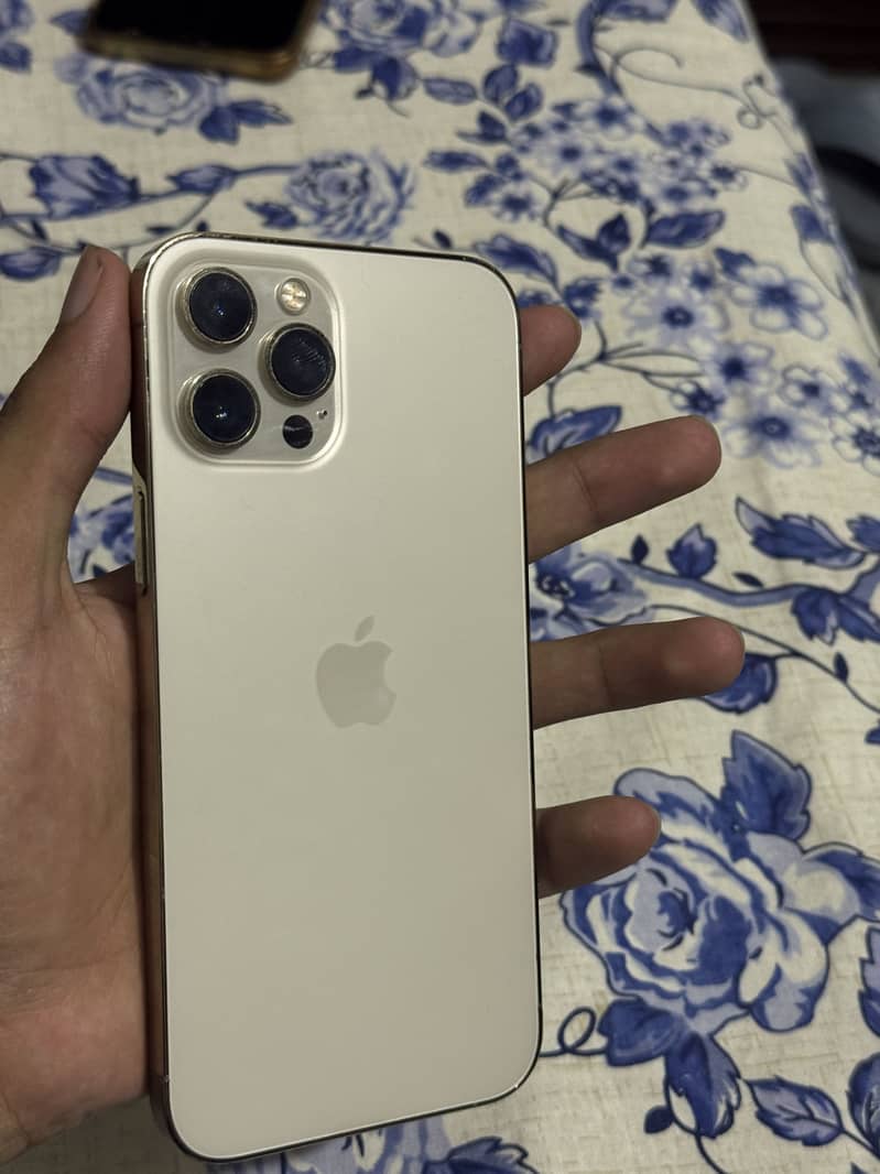 Apple iPhone 12 Pro Max 0