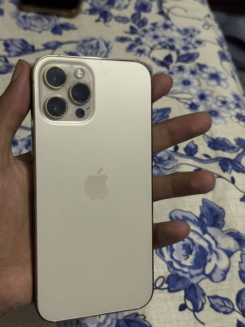 Apple iPhone 12 Pro Max 1