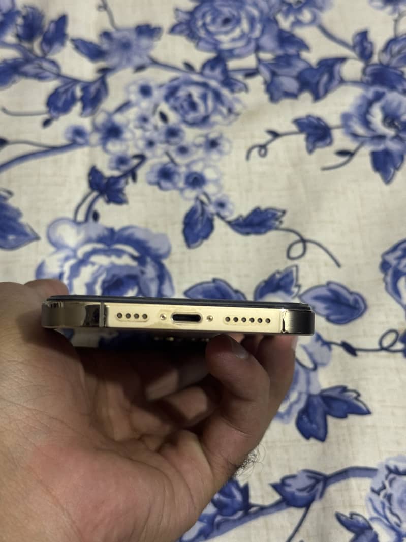 Apple iPhone 12 Pro Max 2