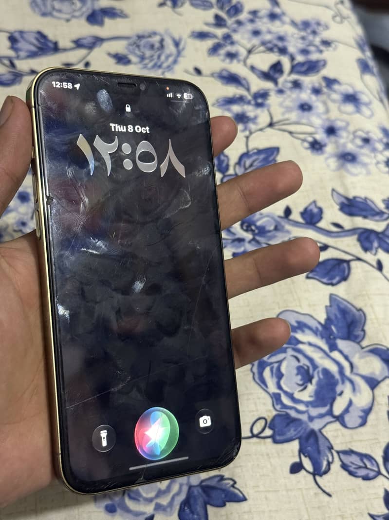 Apple iPhone 12 Pro Max 3