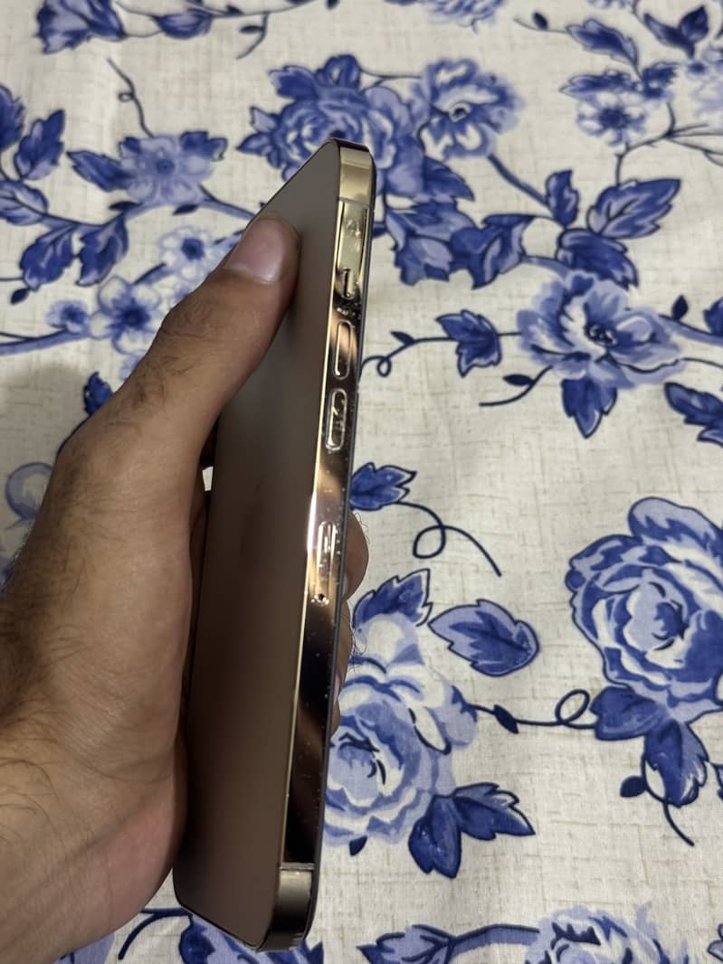 Apple iPhone 12 Pro Max 5