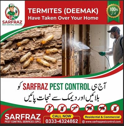 Termite control | Deemak control | Dengue spary,Fumgation,Pest