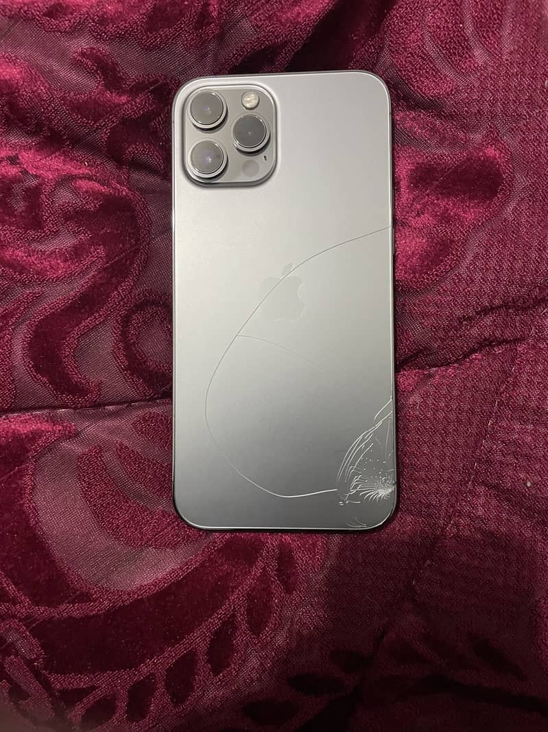 Apple iPhone 12 Pro Max 1