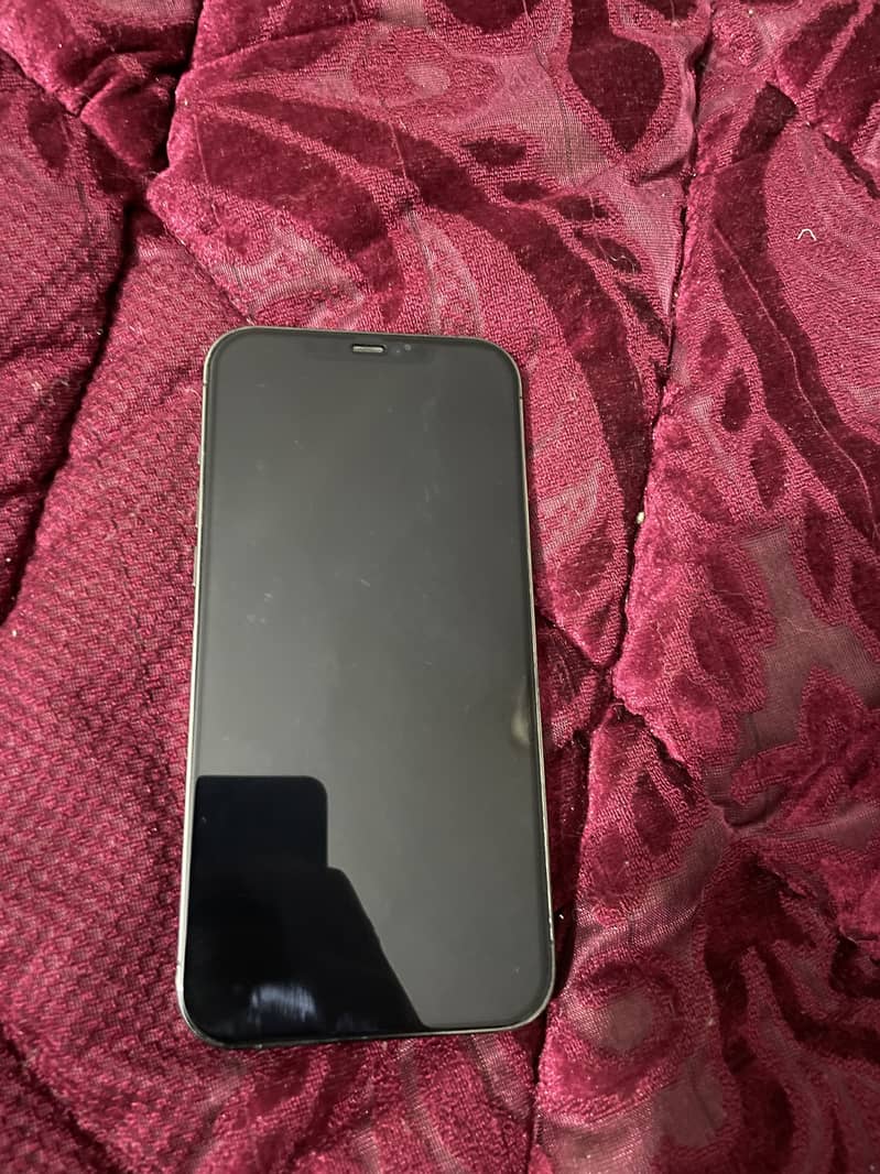 Apple iPhone 12 Pro Max 2