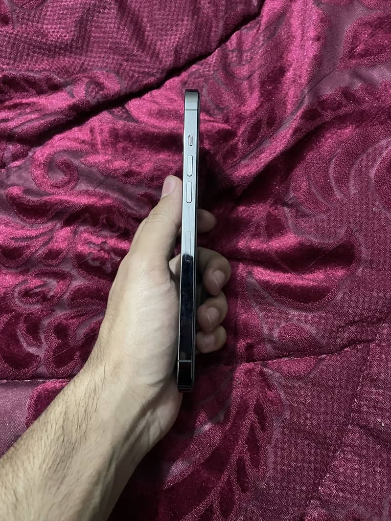 Apple iPhone 12 Pro Max 8