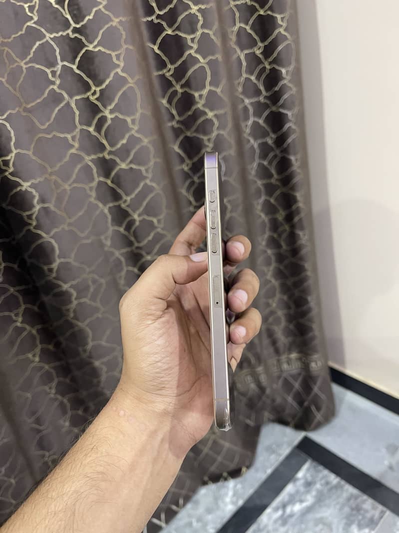 Apple iPhone 16 Pro Max 1