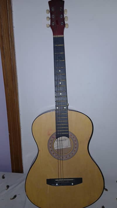 guitar