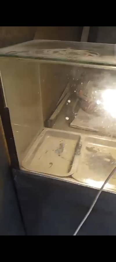 fryer and dispay counter