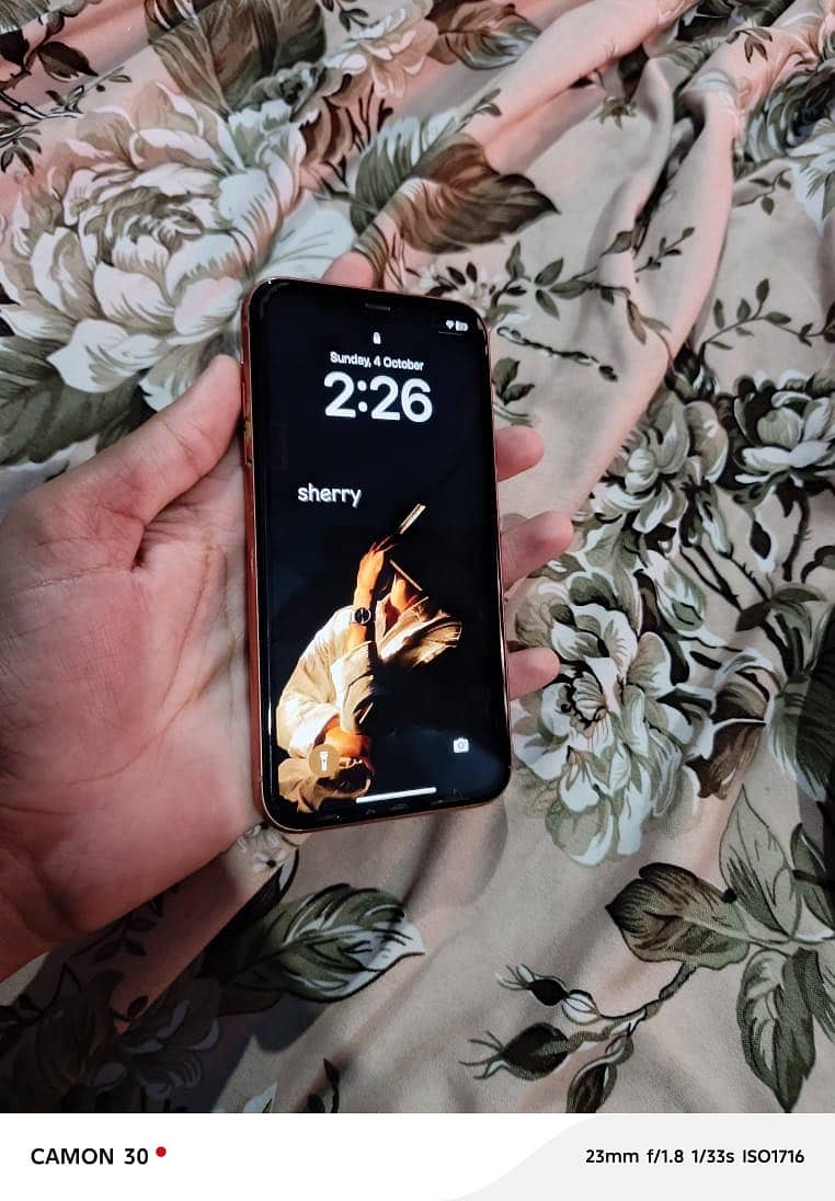 Apple iPhone XR 2