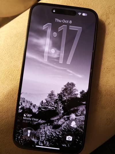 Apple iPhone 14 Pro Max