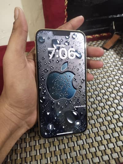iPhone 13 Pro Max PTA Approved