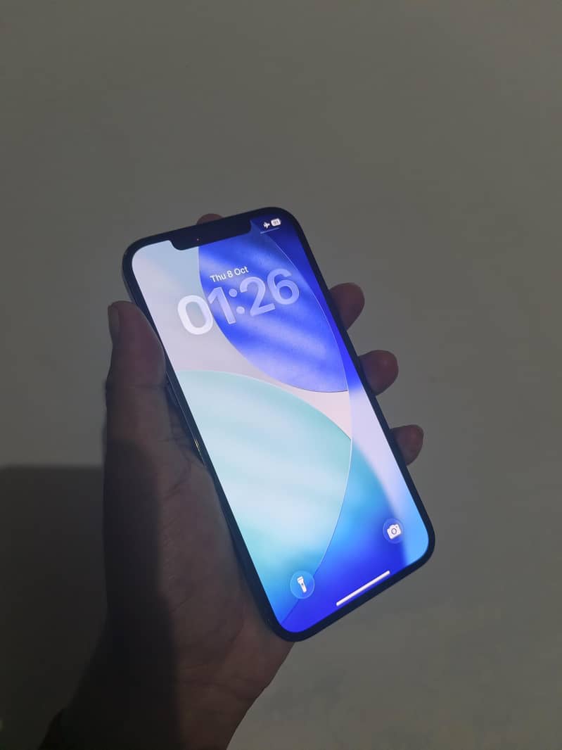 Apple iPhone 12 Pro Max 1