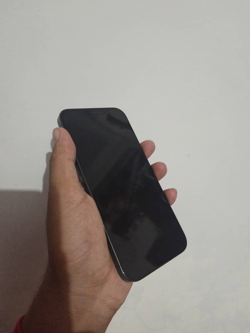 Apple iPhone 12 Pro Max 2