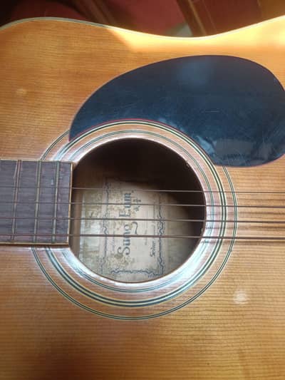 acoustic guitar Korea