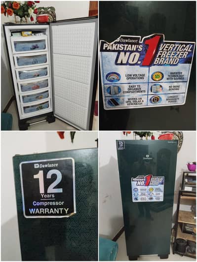 vertical deep freezer