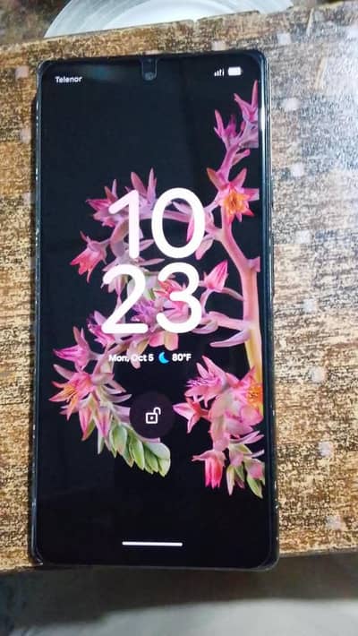 Google Pixel 6 Pro