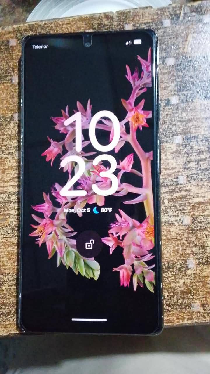 Google Pixel 6 Pro 0