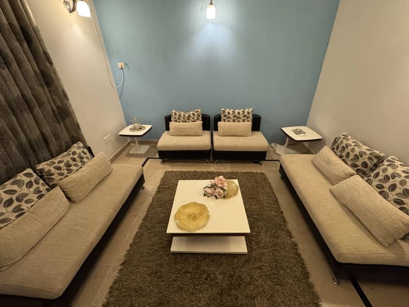Drawing Room Sofa Set – 2 Sofas + 2 Single Chairs 2
