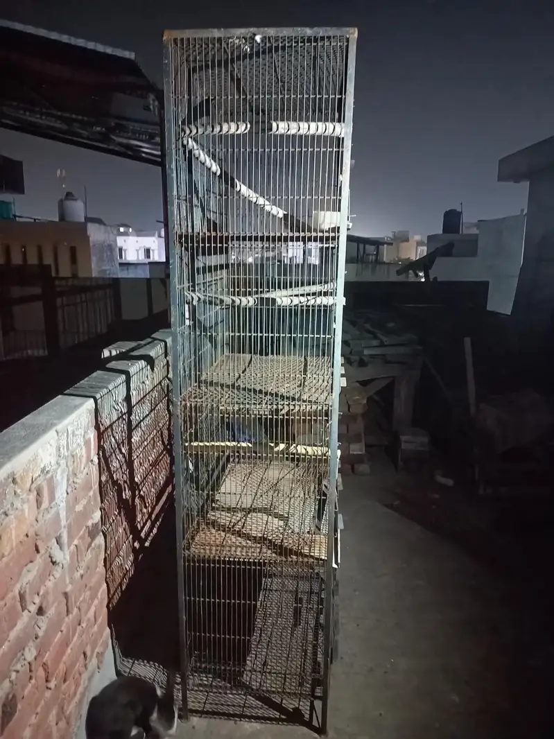 Steel Cages heavy weight for sale. — photo 2