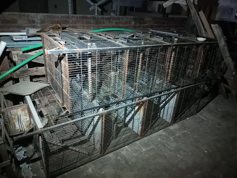 Steel Cages heavy weight for sale. — photo 4